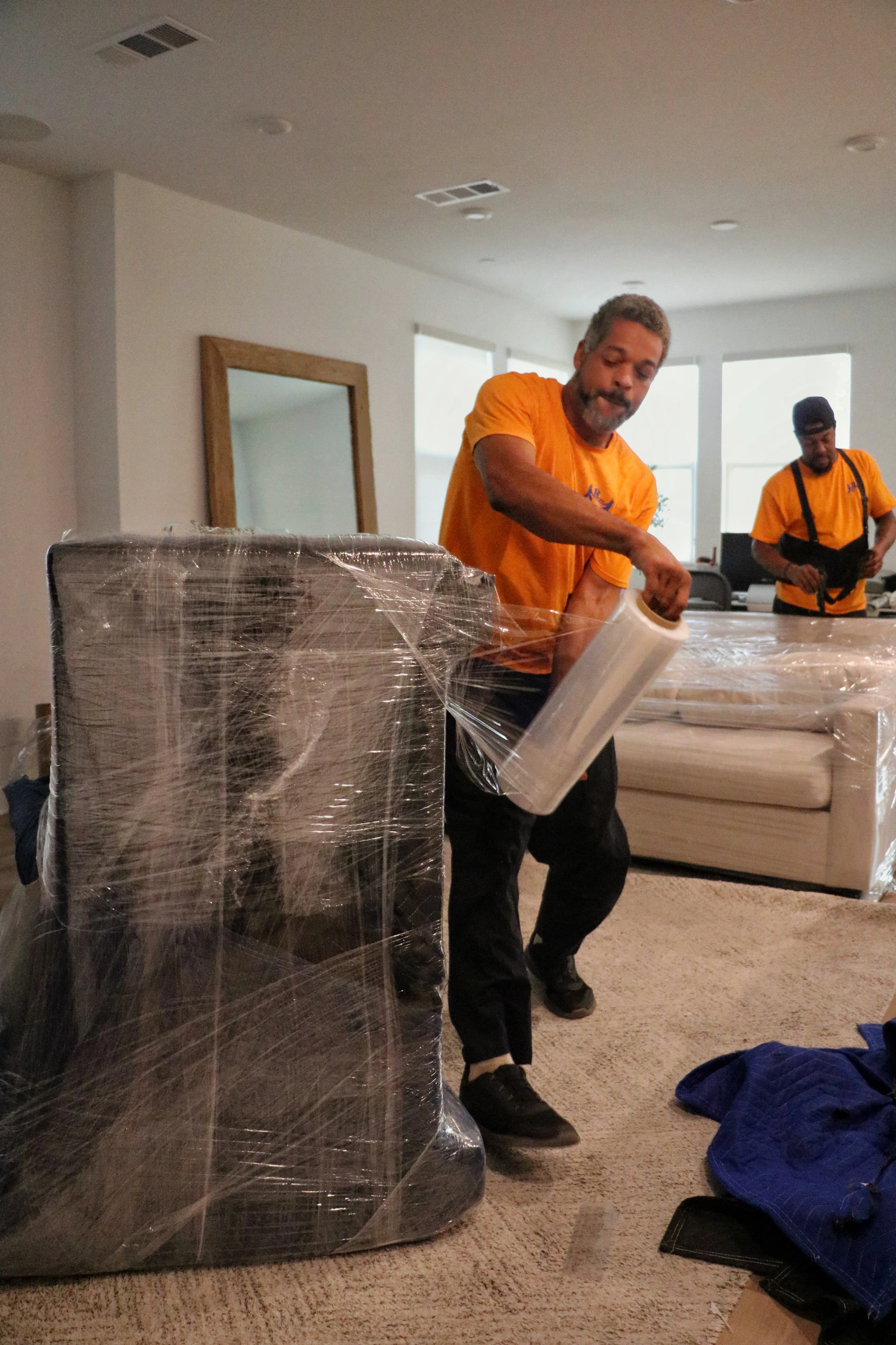 Living room moving service